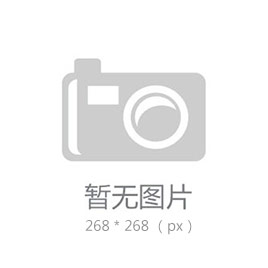 知識產權著作（項）